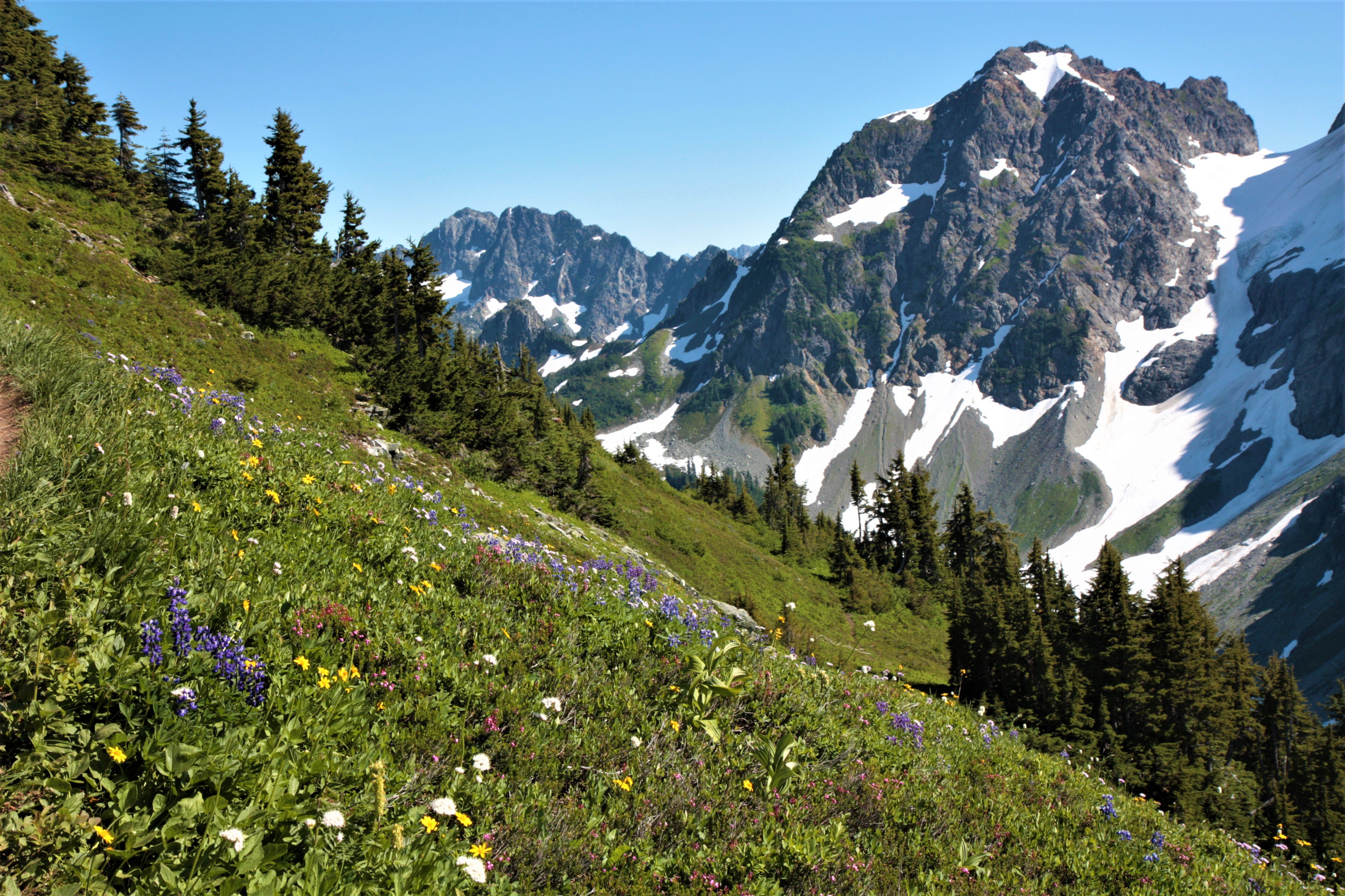 North Cascades NP